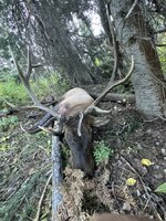 IMG_5158.jpeg