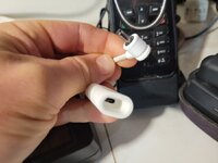 20230924_064804.jpg