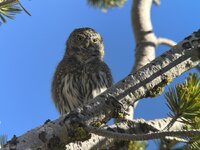 IMG_9126.jpeg