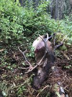 IMG_5314.jpeg