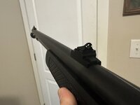 IMG_2374.jpeg
