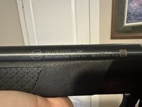 IMG_2373.jpeg