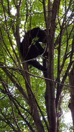 IMG_0114.jpeg