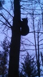 IMG_0033.jpeg