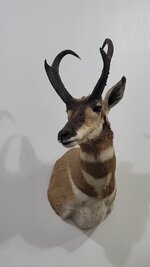 20230924_203811.jpg