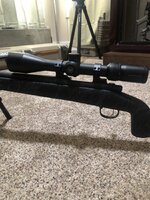 22-250 #5.jpg