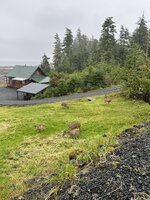 IMG_6400.jpeg