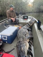 IMG_6875.jpeg
