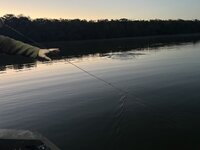 IMG_6853.jpeg