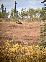 IMG_7344.jpeg IMG_7344.jpeg