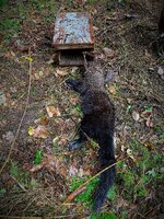 IMG_6556.jpeg