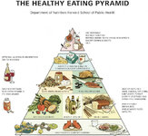 the-healthy-eating-pyramid.jpg