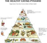 the-healthy-eating-pyramid.jpg