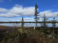 IMG_6885.jpeg