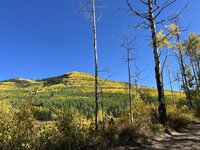 IMG_8377.jpeg