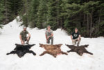 Idaho Bear Hunt-Rokslide-Casey-5-18-03711.jpg