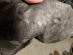 IMG_20190202_170652.jpg