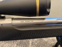 IMG_0477.jpeg