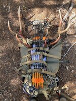 Elk 2023.jpg Elk 2023.jpg