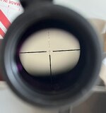IMG_3405.jpeg