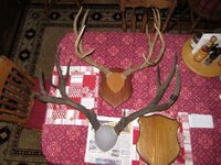 IMG_0906.jpg