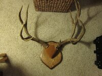 IMG_1617.jpg