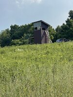 IMG_7694.jpeg
