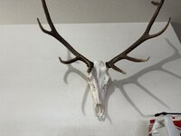 IMG_9324.jpeg