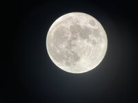 IMG_8600.jpeg