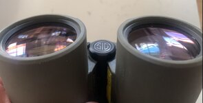 IMG_7989.jpeg