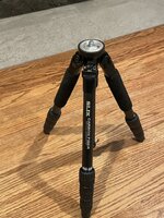 IMG_2395.jpeg