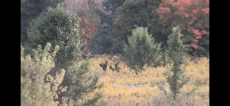IMG_7669.png
