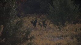 IMG_7671.jpeg