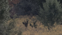 IMG_7677.jpeg
