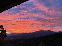 IMG_8335.jpeg