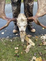 IMG_7046.jpeg