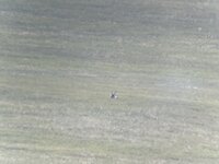 IMG_6038.jpeg