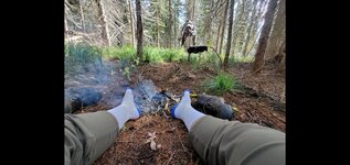 Screenshot_20231003-090907_Gallery.jpg Screenshot_20231003-090907_Gallery.jpg