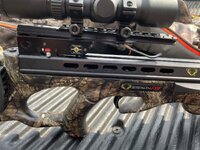 IMG_1303.jpeg