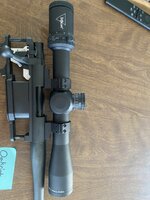 IMG_2317.jpeg