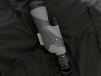 IMG_0825.jpeg