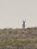IMG_6844.jpeg
