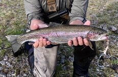 IMG_4822 2.jpeg