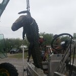 20170928_131702.jpg
