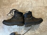 IMG_3377.jpeg