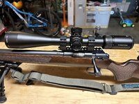 IMG_0974.jpeg IMG_0974.jpeg