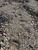 IMG_3750.jpeg IMG_3750.jpeg