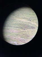 IMG_5196.jpeg IMG_5196.jpeg