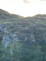 IMG_5139.jpeg IMG_5139.jpeg