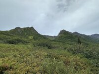 IMG_0661.jpeg